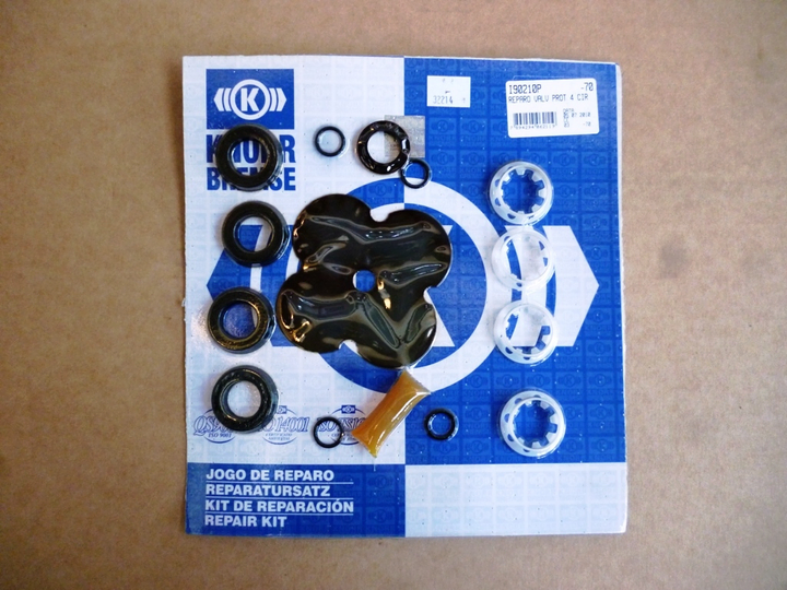 Rep valv protectora - Imagen principal