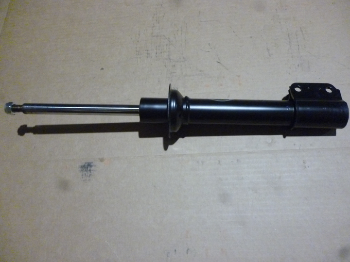 Amortiguador delantero gas - Imagen principal