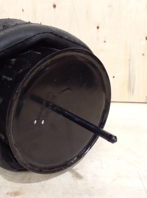 Vejiga susp.(completa) 1t15lr-4 trasera - Vista 2