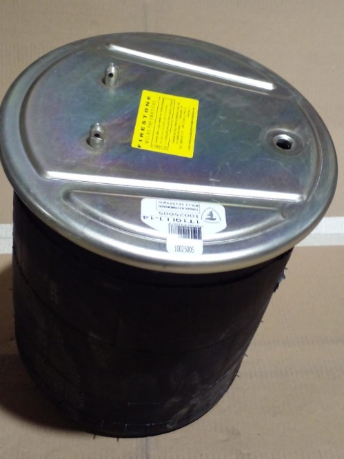 Vejiga susp.(completa) 1t19llj-14 trasera - Imagen principal