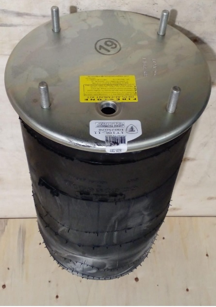 Vejiga susp.(completa) 1t19l-11 eje elevable - Imagen principal